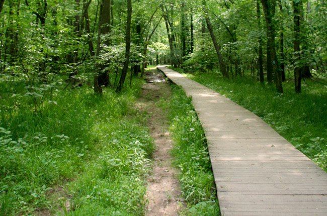 Path run hotsell